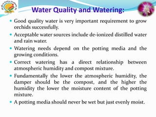 Water Quality and Watering:
 Good quality water is very important requirement to grow
orchids successfully.
 Acceptable water sources include de-ionized distilled water
and rain water.
 Watering needs depend on the potting media and the
growing conditions.
 Correct watering has a direct relationship between
atmospheric humidity and compost mixture.
 Fundamentally the lower the atmospheric humidity, the
damper should be the compost, and the higher the
humidity the lower the moisture content of the potting
mixture.
 A potting media should never be wet but just evenly moist.
 