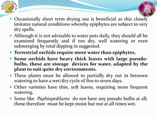  Occasionally short term drying out is beneficial as this closely
imitates natural conditions whereby epiphytes are subject to very
dry spells.
 Although it is not advisable to water pots daily, they should all be
examined frequently and if too dry, well watering or even
submerging by total dipping in suggested.
 Terrestrial orchids require more water than epiphytes.
 Some orchids have heavy thick leaves with large pseudo-
bulbs, these are storage devices for water, adapted by the
plant to suit quite dry environments.
 These plants must be allowed to partially dry out in between
watering to have a wet/dry cycle of five to seven days.
 Other varieties have thin, soft leaves, requiring more frequent
watering.
 Some like Paphiopedilums do not have any pseudo bulbs at all,
these therefore must be kept moist but not at all times wet.
 
