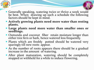  Generally speaking, watering twice or thrice a week would
be best. When drawing up such a schedule the following
factors should be kept in mind.
 Actively growing plants need more water than resting
plants.
 Large plants need more water than smaller ones or
seedlings.
 Osmunda and coconut fiber retain moisture longer than
either tree fern or bark, hence watered less frequently.
 Plants which are freshly potted should be watered very
sparingly till new roots appear.
 As the number of roots appears there should be a gradual
increase in the amount of watering.
 After plant maturation, watering should be completely
stopped or withheld for a while to induce flowering.
 