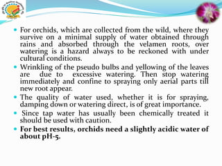  For orchids, which are collected from the wild, where they
survive on a minimal supply of water obtained through
rains and absorbed through the velamen roots, over
watering is a hazard always to be reckoned with under
cultural conditions.
 Wrinkling of the pseudo bulbs and yellowing of the leaves
are due to excessive watering. Then stop watering
immediately and confine to spraying only aerial parts till
new root appear.
 The quality of water used, whether it is for spraying,
damping down or watering direct, is of great importance.
 Since tap water has usually been chemically treated it
should be used with caution.
 For best results, orchids need a slightly acidic water of
about pH-5.
 