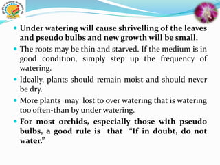 Under watering will cause shrivelling of the leaves
and pseudo bulbs and new growth will be small.
 The roots may be thin and starved. If the medium is in
good condition, simply step up the frequency of
watering.
 Ideally, plants should remain moist and should never
be dry.
 More plants may lost to over watering that is watering
too often-than by under watering.
 For most orchids, especially those with pseudo
bulbs, a good rule is that “If in doubt, do not
water.”
 