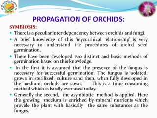 PROPAGATION OF ORCHIDS:
SYMBIOSIS:
 There is a peculiar inter dependency between orchids and fungi.
 A brief knowledge of this ‘mycorrhizal relationship’ is very
necessary to understand the procedures of orchid seed
germination.
 There have been developed two distinct and basic methods of
germination based on this knowledge.
 In the first it is assumed that the presence of the fungus is
necessary for successful germination. The fungus is isolated,
grown in sterilized culture sand then, when fully developed in
the medium, orchids are sown. This is a time consuming
method which is hardly ever used today.
 Generally the second, the asymbiotic method is applied. Here
the growing medium is enriched by mineral nutrients which
provide the plant with basically the same substances as the
fungus.
 