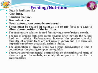 Feeding/Nutrition
 Organic fertilizers like
 Cow dung,
 Chicken manure,
 Groundnut cake,
 Neem cake etc. can be moderately used.
 These must be soaked in water at 1:10 or 1:20 for 2 to 3 days to
allow decomposition of the fertilizer.
 The supernatant solution is used for spraying once of twice a month.
 The use of organic fertilizers seems obvious since they are the natural
food or orchids. Unfortunately, however, the precise chemical
formulae of organic feeds are not usually known and it is therefore
impossible to control accurately a plant’s intake.
 The application of organic feeds has a great disadvantage in that it
decomposes the potting compost very quickly.
 There are several commercial organic feeds on the market and many of
these are good for orchids, especially those prepared from fish or
seaweed bases.
 