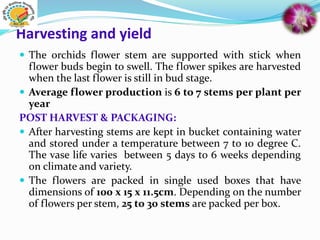 Harvesting and yield
 The orchids flower stem are supported with stick when
flower buds begin to swell. The flower spikes are harvested
when the last flower is still in bud stage.
 Average flower production is 6 to 7 stems per plant per
year
POST HARVEST & PACKAGING:
 After harvesting stems are kept in bucket containing water
and stored under a temperature between 7 to 10 degree C.
The vase life varies between 5 days to 6 weeks depending
on climate and variety.
 The flowers are packed in single used boxes that have
dimensions of 100 x 15 x 11.5cm. Depending on the number
of flowers per stem, 25 to 30 stems are packed per box.
 