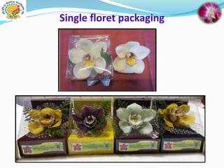 Single floret packaging
 