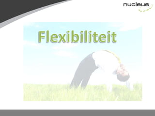 Flexibiliteit
