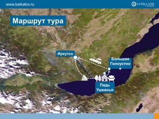 Маршрут тура
Иркутск
Падь
Ушканья
www.baikalov.ru
Большое
Голоустно
е
 