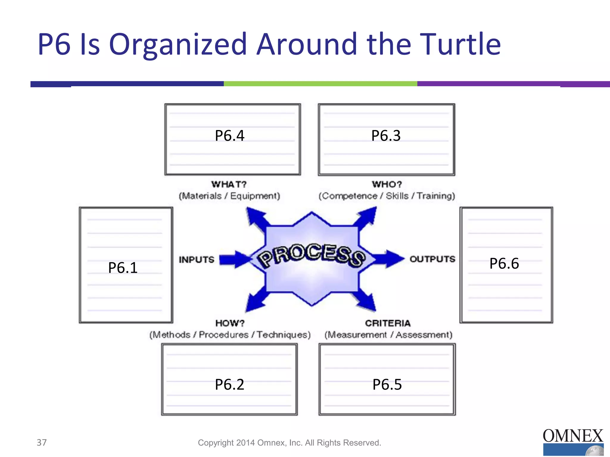 P6 Is Organized Around the Turtle
37 Copyright 2014 Omnex, Inc. All Rights Reserved.
P6.1
P6.3P6.4
P6.6
P6.5P6.2
 