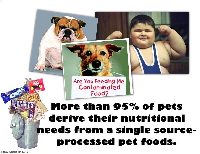 Grains Dogs Can Digest Grains Dogs Can Digest
