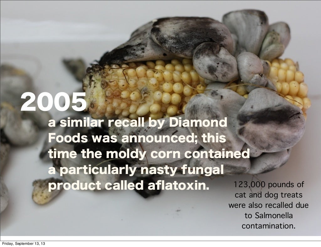 What’s Really in Pet Food? Stop Poisoning Your Dog!!!