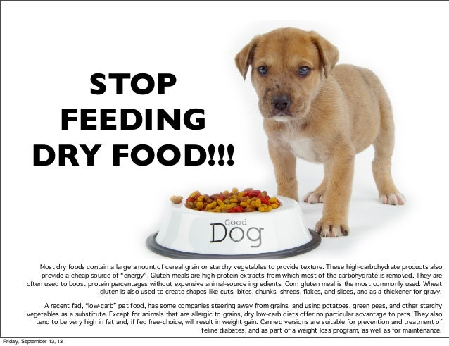 Low Carb Dog Food For Cancer Low Carb Dog Food For Cancer