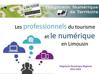 Les professionnels du tourisme
et le numérique
en Limousin
Diagnostic Numérique Régional
2013-2014
 