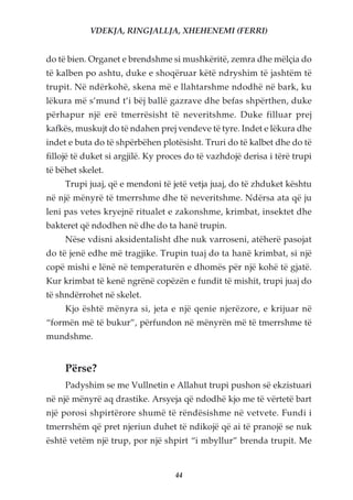 VDEKJA, RINGJALLJA, XHEHENEMI (FERRI)


do të bien. Organet e brendshme si mushkëritë, zemra dhe mëlçia do
të kalben po ashtu, duke e shoqëruar këtë ndryshim të jashtëm të
trupit. Në ndërkohë, skena më e llahtarshme ndodhë në bark, ku
lëkura më s’mund t’i bëj ballë gazrave dhe befas shpërthen, duke
përhapur një erë tmerrësisht të neveritshme. Duke filluar prej
kafkës, muskujt do të ndahen prej vendeve të tyre. Indet e lëkura dhe
indet e buta do të shpërbëhen plotësisht. Truri do të kalbet dhe do të
fillojë të duket si argjilë. Ky proces do të vazhdojë derisa i tërë trupi
të bëhet skelet.
     Trupi juaj, që e mendoni të jetë vetja juaj, do të zhduket kështu
në një mënyrë të tmerrshme dhe të neveritshme. Ndërsa ata që ju
leni pas vetes kryejnë ritualet e zakonshme, krimbat, insektet dhe
bakteret që ndodhen në dhe do ta hanë trupin.
     Nëse vdisni aksidentalisht dhe nuk varroseni, atëherë pasojat
do të jenë edhe më tragjike. Trupin tuaj do ta hanë krimbat, si një
copë mishi e lënë në temperaturën e dhomës për një kohë të gjatë.
Kur krimbat të kenë ngrënë copëzën e fundit të mishit, trupi juaj do
të shndërrohet në skelet.
     Kjo është mënyra si, jeta e një qenie njerëzore, e krijuar në
“formën më të bukur”, përfundon në mënyrën më të tmerrshme të
mundshme.


     Përse?
     Padyshim se me Vullnetin e Allahut trupi pushon së ekzistuari
në një mënyrë aq drastike. Arsyeja që ndodhë kjo me të vërtetë bart
një porosi shpirtërore shumë të rëndësishme në vetvete. Fundi i
tmerrshëm që pret njeriun duhet të ndikojë që ai të pranojë se nuk
është vetëm një trup, por një shpirt “i mbyllur” brenda trupit. Me


                                   44
 