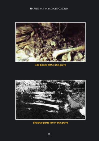 HARUN YAHYA (ADNAN OKTAR)




   The bones left in the grave




  Skeletal parts left in the grave



               53
 