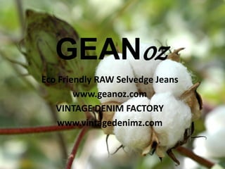 GEANoz
Eco Friendly RAW Selvedge Jeans
www.geanoz.com
VINTAGE DENIM FACTORY
www.vintagedenimz.com
 
