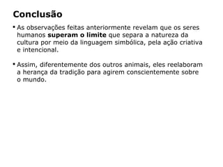 Conclusão
 As observações feitas anteriormente revelam que os seres
humanos superam o limite que separa a natureza da
cultura por meio da linguagem simbólica, pela ação criativa
e intencional.
 Assim, diferentemente dos outros animais, eles reelaboram
a herança da tradição para agirem conscientemente sobre
o mundo.
 