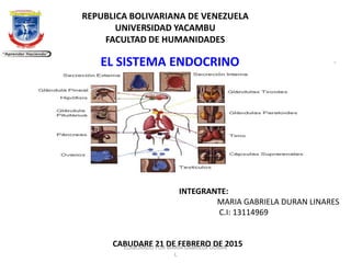 REPUBLICA BOLIVARIANA DE VENEZUELA
UNIVERSIDAD YACAMBU
FACULTAD DE HUMANIDADES
INTEGRANTE:
MARIA GABRIELA DURAN LINARES
C.I: 13114969
CABUDARE 21 DE FEBRERO DE 2015ELABORADO POR MARIA GABRIELA DURAN
L
EL SISTEMA ENDOCRINO
 