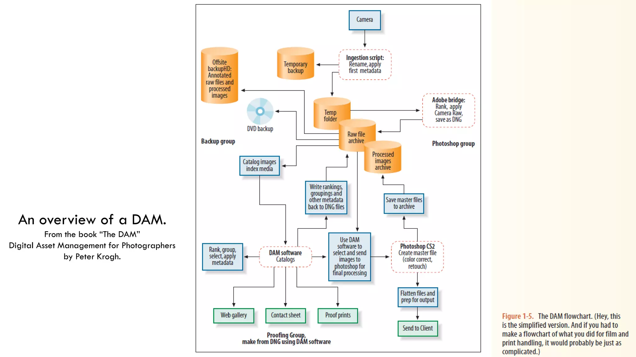 An overview of a DAM.
From the book “The DAM”
Digital Asset Management for Photographers
by Peter Krogh.
 