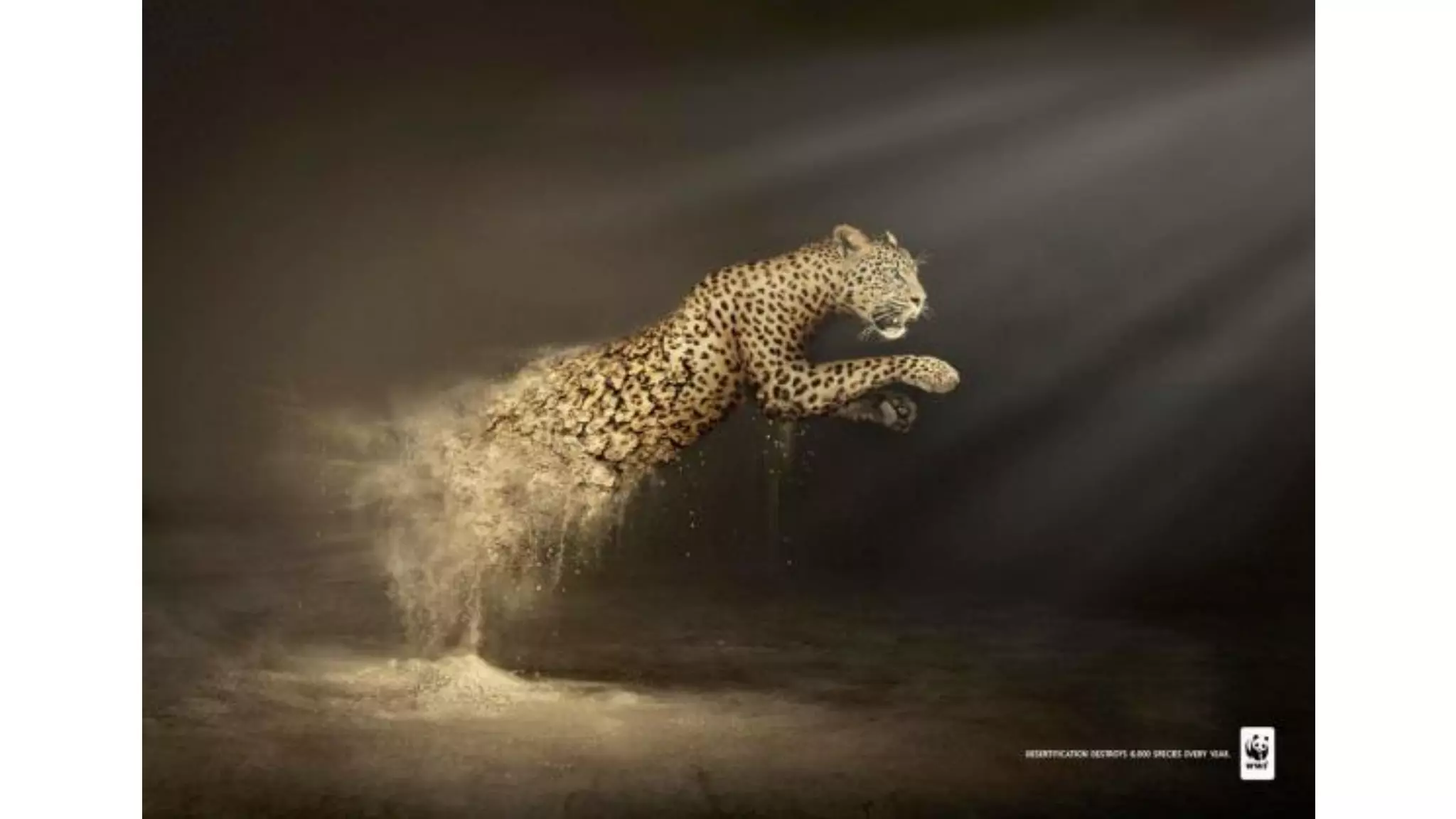 Asset Management and Workflow