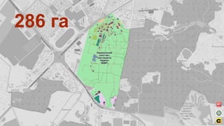 286 га
 