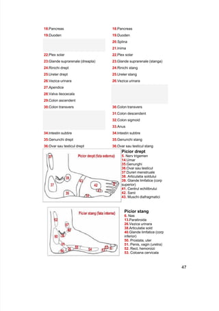 18 8
19 9
.Pancreas 1 .Pancreas
.Duoden 1 .Duoden
20.Splina
1
22 2
23 3
24 4
25 5
26 6
27
2 .Inima
.Plex solar 2 .Plex solar
.Glande suprarenale (dreapta) 2 .Glande suprarenale (stanga)
.Rinichi drept 2 .Rinichi stang
.Ureter drept 2 .Ureter stang
.Vezica urinara 2 .Vezica urinara
.Apendice
28.Valva ileocecala
29.Colon ascendent
30 0
.Colon transvers 3 .Colon transvers
1
3 .Colon descendent
2
3 .Colon sigmoid
3
34 4
35 5
6 6
3 .Anus
.Intestin subtire 3 .Intestin subtire
.Genunchi drept 3 .Genunchi stang
3 .Ovar sau testicul drept 3 .Ovar sau testicul stang
Picior drept
5. Nerv trigemen
14.Umar
35.Genunghi
36.Ovar sau testicul
37.Dureri menstruale
38. Articulatia soldului
39. Glande limfatice (corp
superior)
41. Centrul echilibrului
42. Sanii
43. Muschi diafragmatici
Picior stang
6. Nas
13.Paratiroida
26.Vezica urinara
38.Articulatie sold
40.Glande limfatice (corp
inferior)
50. Prostata, uter
51. Penis, vagin (uretra)
52. Rect, hemoroizi
53. Coloana cervicala
47
 