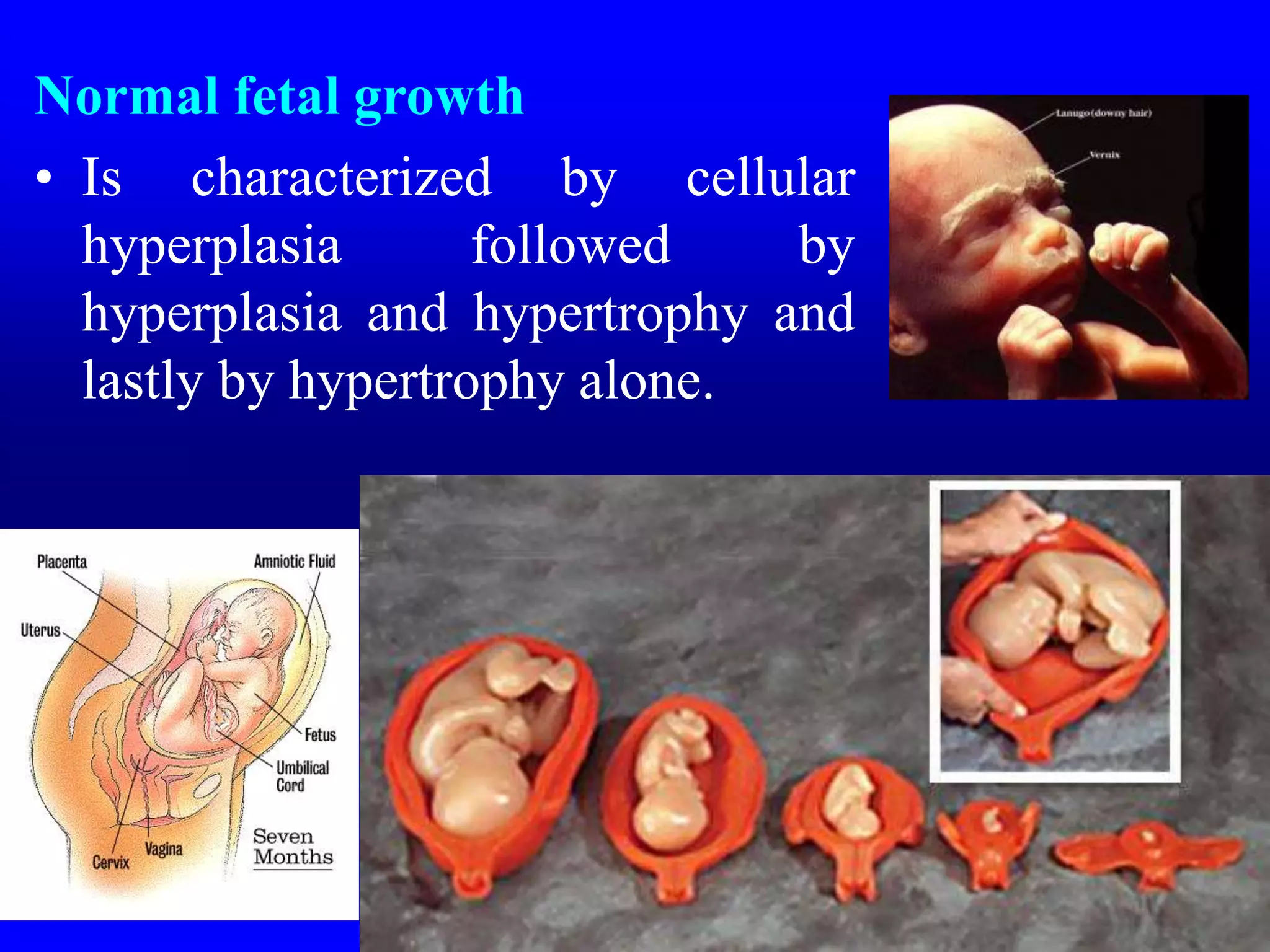 Normal fetal growth
• Is characterized by cellular
hyperplasia followed by
hyperplasia and hypertrophy and
lastly by hypertrophy alone.
 