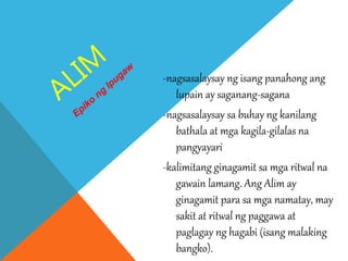 -nagsasalaysay ng isang panahong ang
lupain ay saganang-sagana
-nagsasalaysay sa buhay ng kanilang
bathala at mga kagila-gilalas na
pangyayari
-kalimitang ginagamit sa mga ritwal na
gawain lamang. Ang Alim ay
ginagamit para sa mga namatay, may
sakit at ritwal ng paggawa at
paglagay ng hagabi (isang malaking
bangko).
 