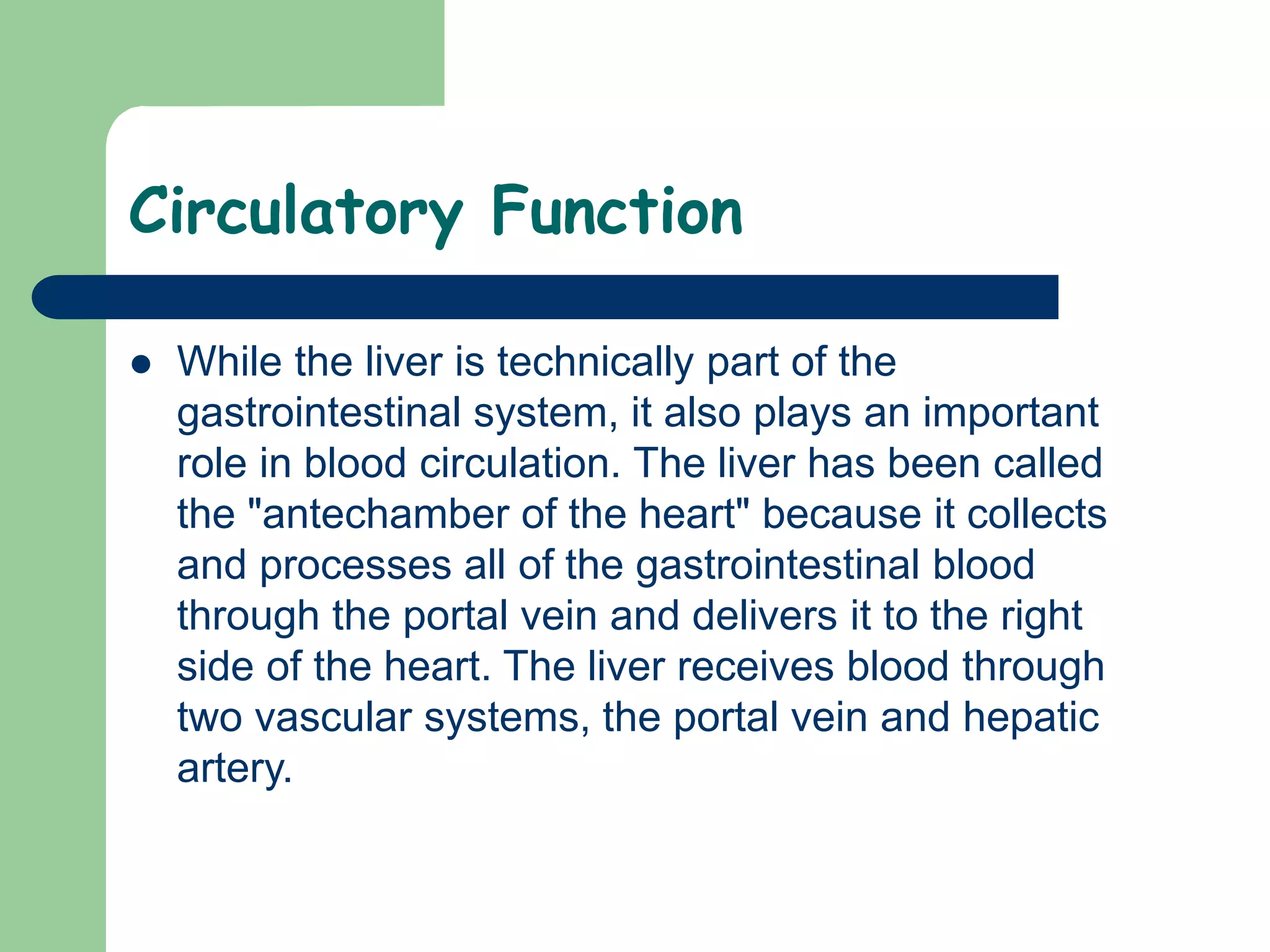 Circulatory Function
 While the liver is technically part of the
gastrointestinal system, it also plays an important
role in blood circulation. The liver has been called
the "antechamber of the heart" because it collects
and processes all of the gastrointestinal blood
through the portal vein and delivers it to the right
side of the heart. The liver receives blood through
two vascular systems, the portal vein and hepatic
artery.
 