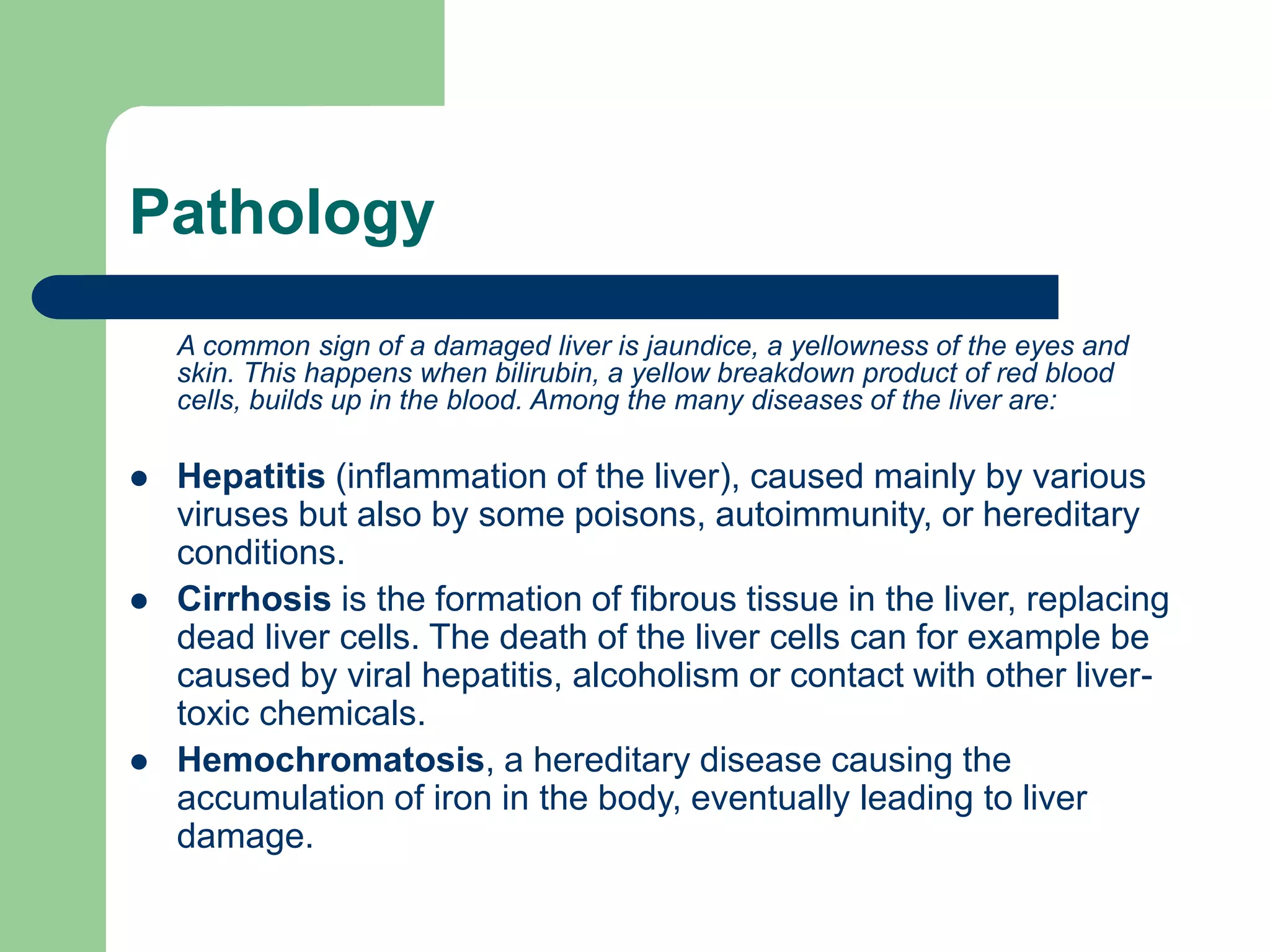 Pathology
A common sign of a damaged liver is jaundice, a yellowness of the eyes and
skin. This happens when bilirubin, a yellow breakdown product of red blood
cells, builds up in the blood. Among the many diseases of the liver are:
 Hepatitis (inflammation of the liver), caused mainly by various
viruses but also by some poisons, autoimmunity, or hereditary
conditions.
 Cirrhosis is the formation of fibrous tissue in the liver, replacing
dead liver cells. The death of the liver cells can for example be
caused by viral hepatitis, alcoholism or contact with other liver-
toxic chemicals.
 Hemochromatosis, a hereditary disease causing the
accumulation of iron in the body, eventually leading to liver
damage.
 