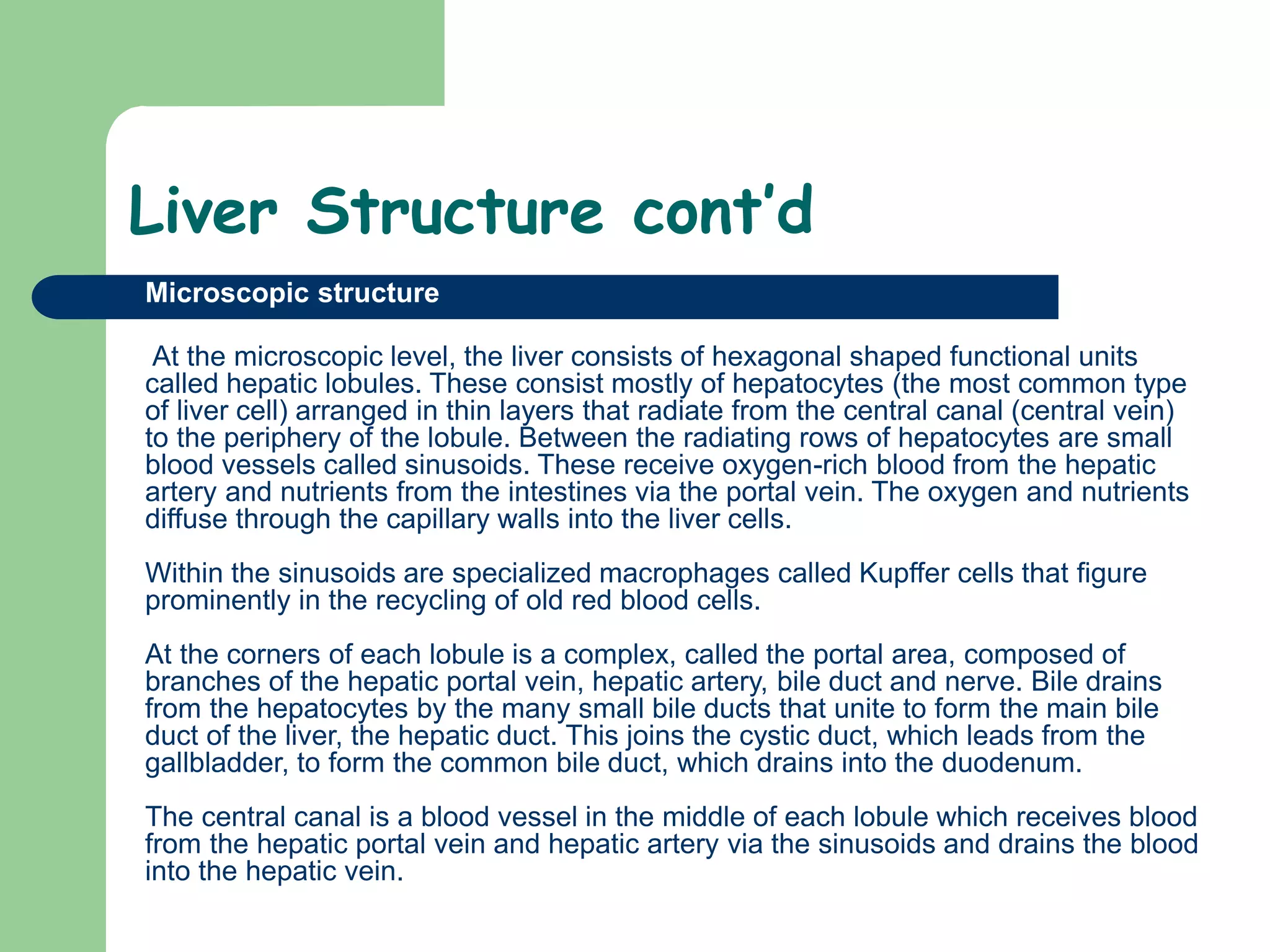 Liver Structure cont’d
 Microscopic structure
At the microscopic level, the liver consists of hexagonal shaped functional units
called hepatic lobules. These consist mostly of hepatocytes (the most common type
of liver cell) arranged in thin layers that radiate from the central canal (central vein)
to the periphery of the lobule. Between the radiating rows of hepatocytes are small
blood vessels called sinusoids. These receive oxygen-rich blood from the hepatic
artery and nutrients from the intestines via the portal vein. The oxygen and nutrients
diffuse through the capillary walls into the liver cells.
Within the sinusoids are specialized macrophages called Kupffer cells that figure
prominently in the recycling of old red blood cells.
At the corners of each lobule is a complex, called the portal area, composed of
branches of the hepatic portal vein, hepatic artery, bile duct and nerve. Bile drains
from the hepatocytes by the many small bile ducts that unite to form the main bile
duct of the liver, the hepatic duct. This joins the cystic duct, which leads from the
gallbladder, to form the common bile duct, which drains into the duodenum.
The central canal is a blood vessel in the middle of each lobule which receives blood
from the hepatic portal vein and hepatic artery via the sinusoids and drains the blood
into the hepatic vein.
 