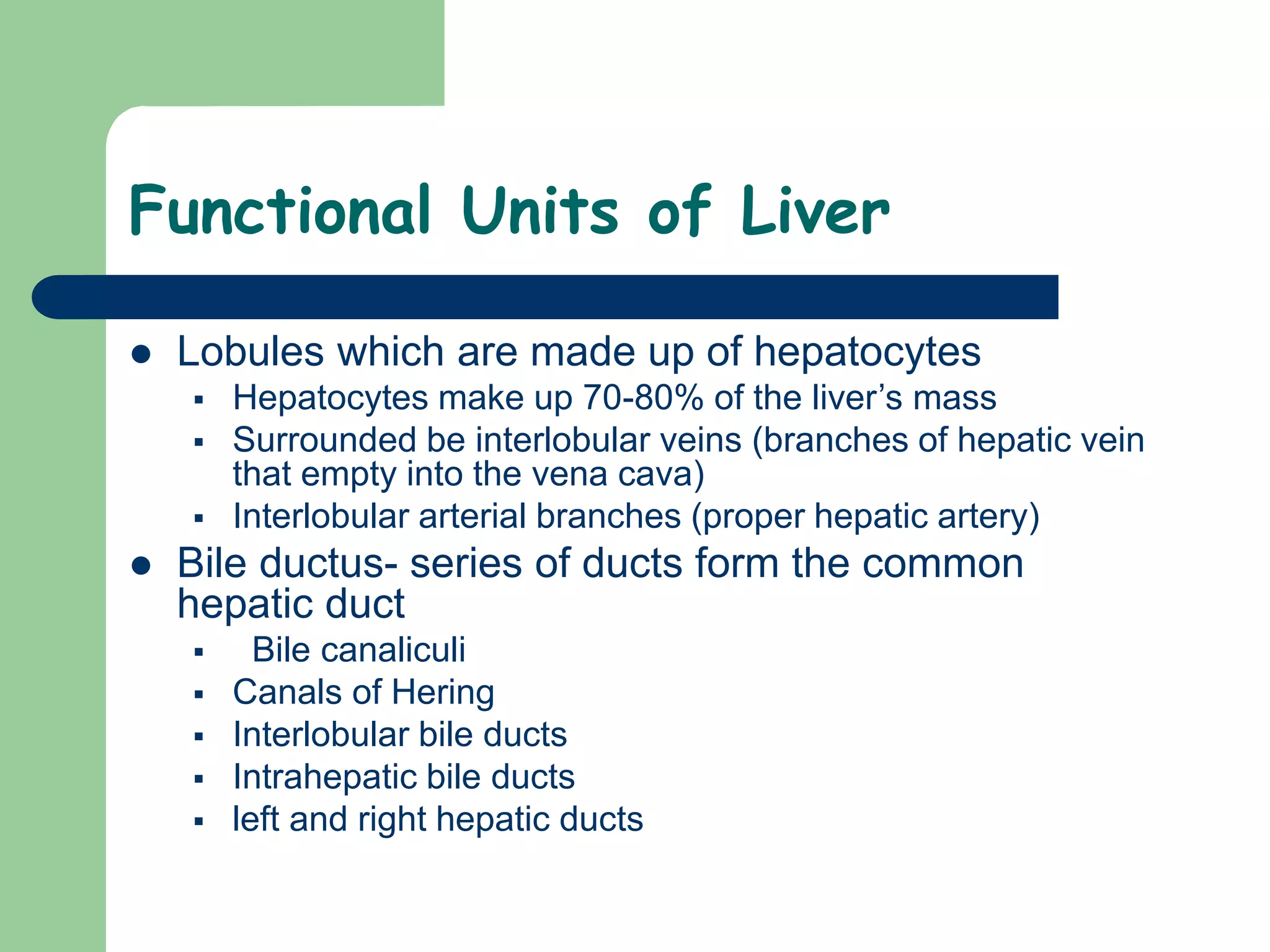 Functional Units of Liver
 Lobules which are made up of hepatocytes
 Hepatocytes make up 70-80% of the liver’s mass
 Surrounded be interlobular veins (branches of hepatic vein
that empty into the vena cava)
 Interlobular arterial branches (proper hepatic artery)
 Bile ductus- series of ducts form the common
hepatic duct
 Bile canaliculi
 Canals of Hering
 Interlobular bile ducts
 Intrahepatic bile ducts
 left and right hepatic ducts
 