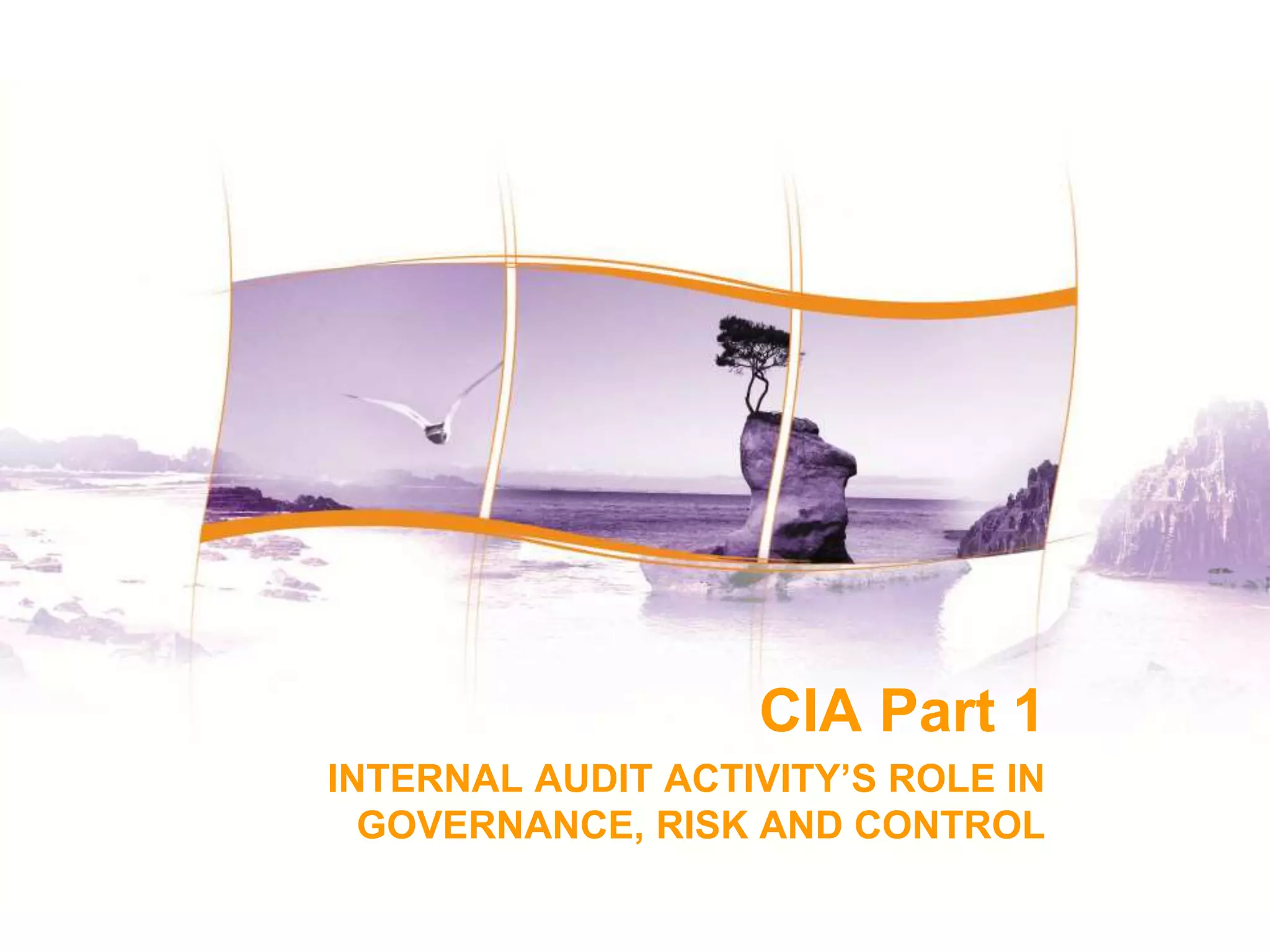 1
1
CIA Part 1
INTERNAL AUDIT ACTIVITY’S ROLE IN
GOVERNANCE, RISK AND CONTROL
 