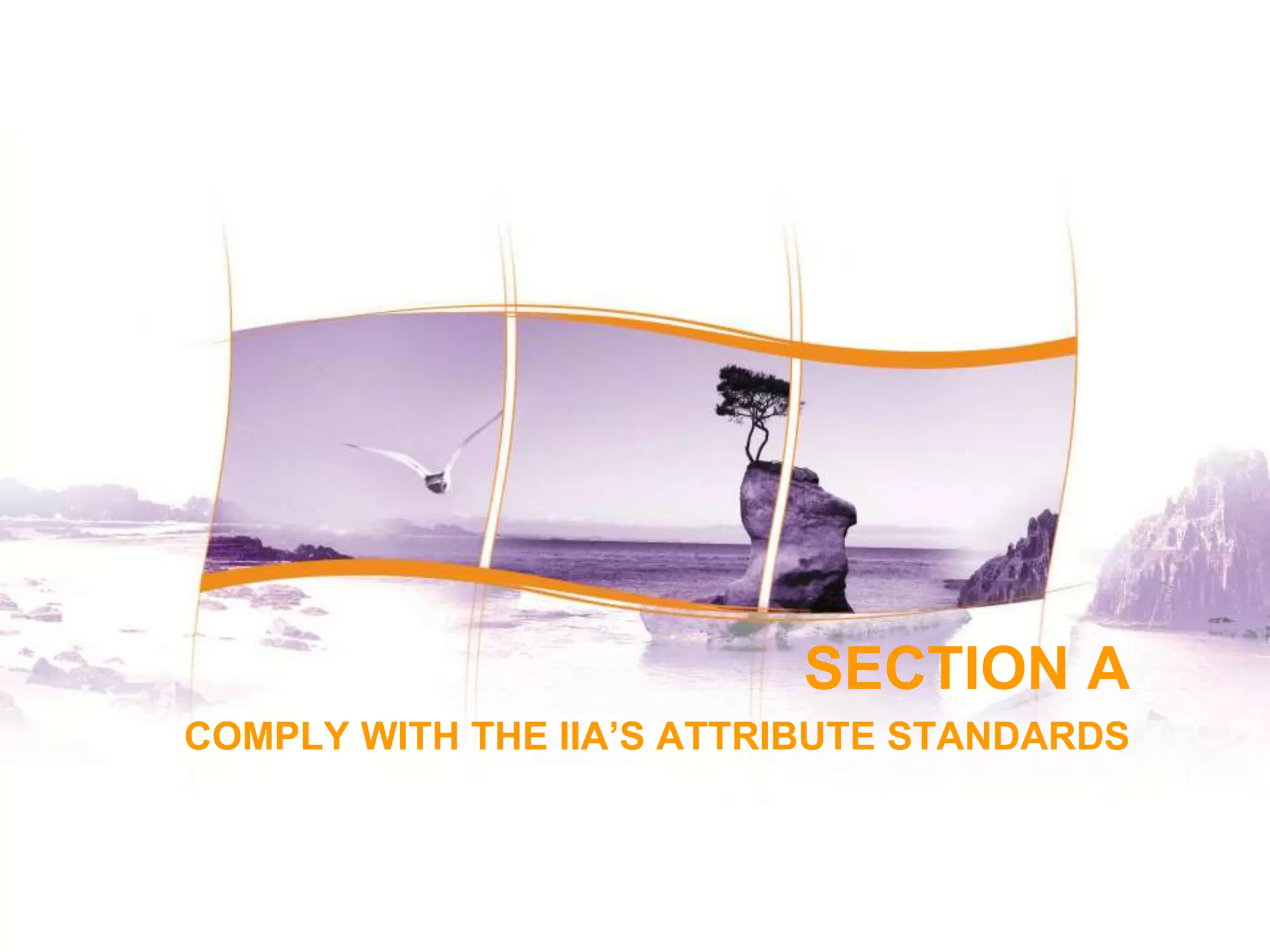 2
2
SECTION A
COMPLY WITH THE IIA’S ATTRIBUTE STANDARDS
 