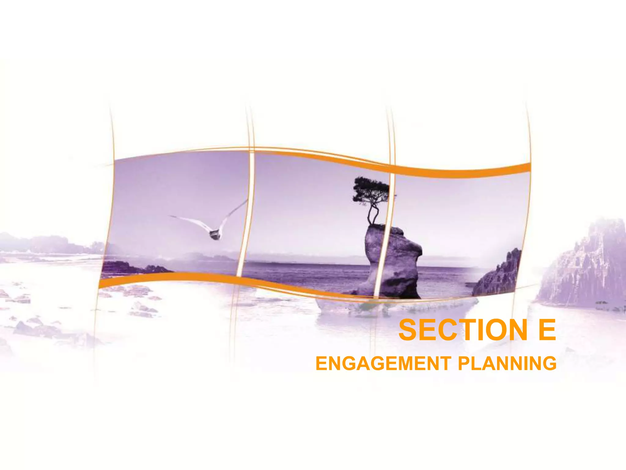 284
284
SECTION E
ENGAGEMENT PLANNING
 
