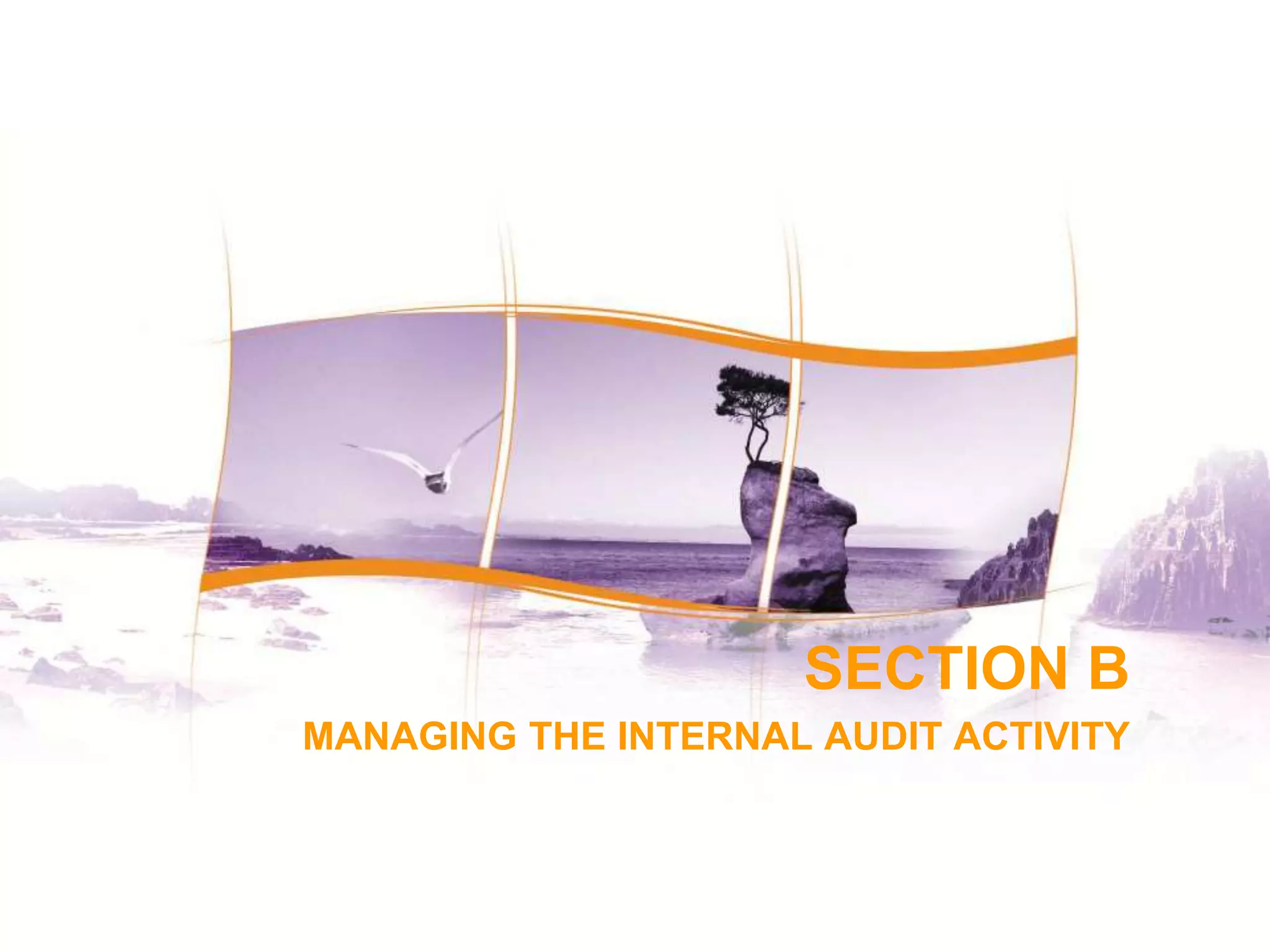 57
57
SECTION B
MANAGING THE INTERNAL AUDIT ACTIVITY
 