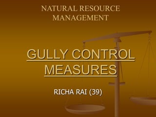 GULLY CONTROL
MEASURES
RICHA RAI (39)
NATURAL RESOURCE
MANAGEMENT
 