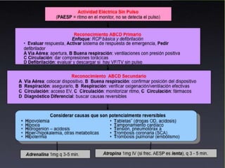 vdocuments.pub_rcp-basico-y-avanzado.ppt
