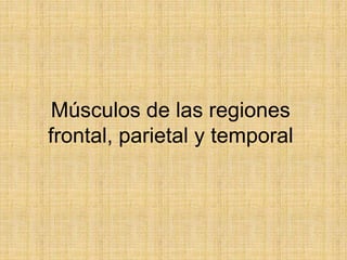 Músculos de las regiones
frontal, parietal y temporal
 