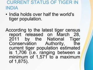 Tiger Project Statistics Project Tiger | PPTX