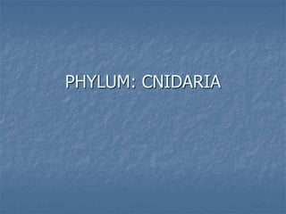 PHYLUM: CNIDARIA
 