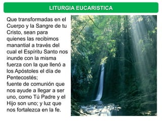 LITURGIA EUCARISTICA

Que transformadas en el
Cuerpo y la Sangre de tu
Cristo, sean para
quienes las recibimos
manantial a través del
cual el Espíritu Santo nos
inunde con la misma
fuerza con la que llenó a
los Apóstoles el día de
Pentecostés;
fuente de comunión que
nos ayude a llegar a ser
uno, como Tú Padre y el
Hijo son uno; y luz que
nos fortalezca en la fe.
 