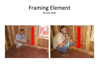 Framing Element #5 Sole Plate 
