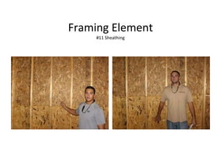 Framing Element #11 Sheathing 