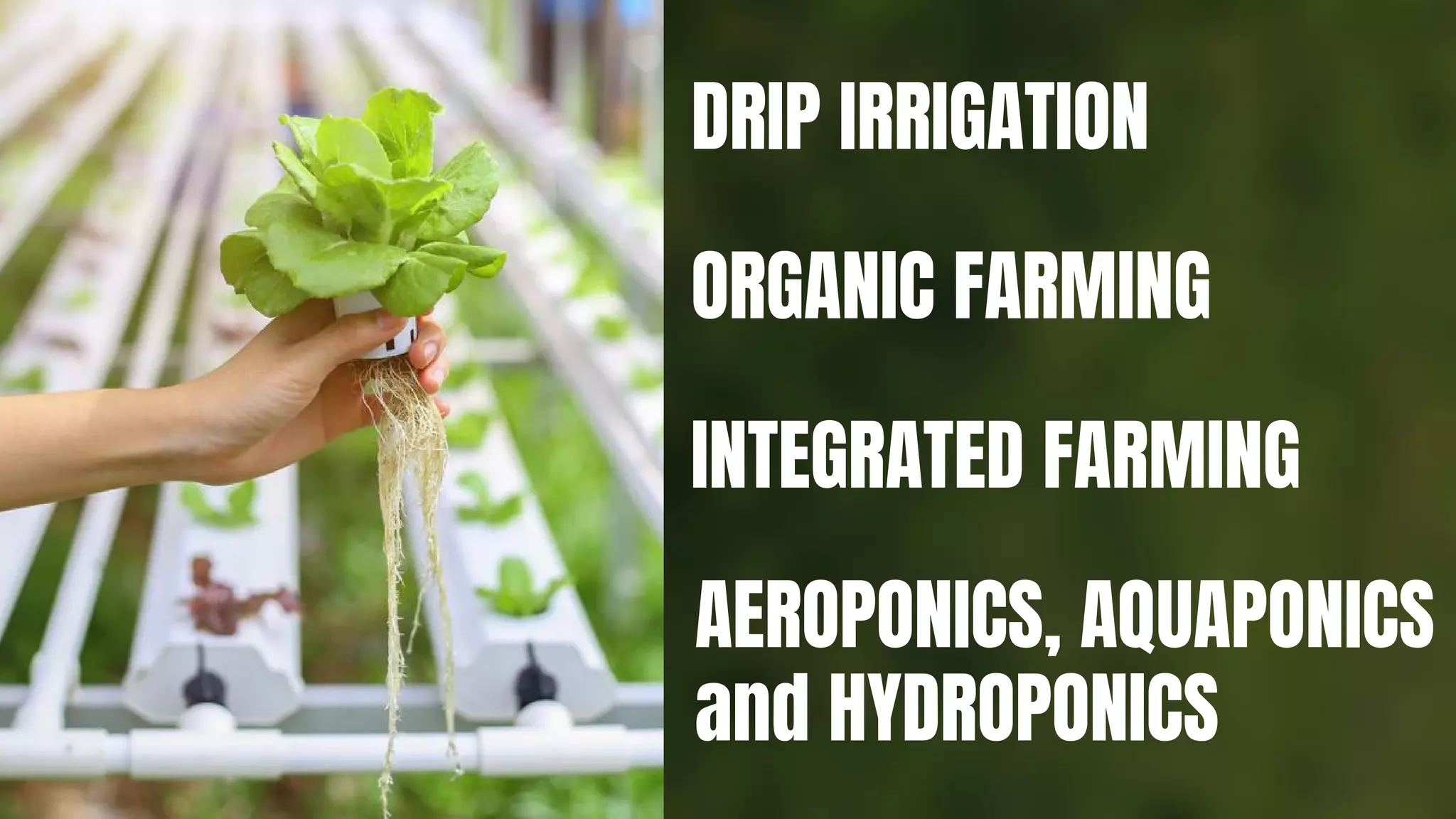 DRIP IRRIGATION
ORGANIC FARMING
INTEGRATED FARMING
AEROPONICS, AQUAPONICS
and HYDROPONICS
 