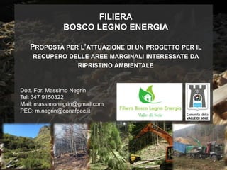 FILIERA
BOSCO LEGNO ENERGIA
PROPOSTA PER L’ATTUAZIONE DI UN PROGETTO PER IL
RECUPERO DELLE AREE MARGINALI INTERESSATE DA
RIPRISTINO AMBIENTALE

Dott. For. Massimo Negrin
Tel: 347 9150322
Mail: massimonegrin@gmail.com
PEC: m.negrin@conafpec.it

 