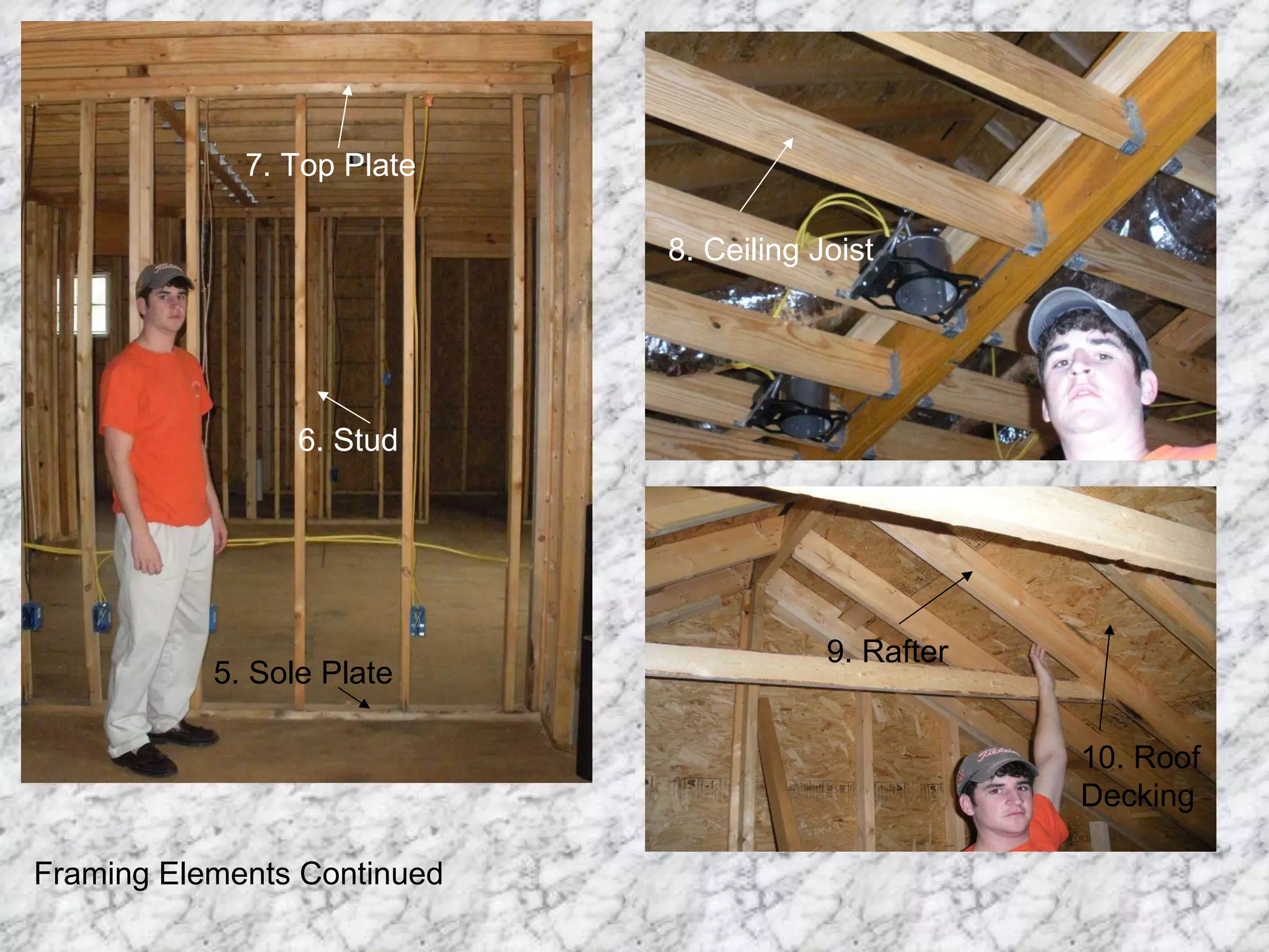 5. Sole Plate 6. Stud 7. Top Plate 8. Ceiling Joist 9. Rafter 10. Roof Decking Framing Elements Continued 