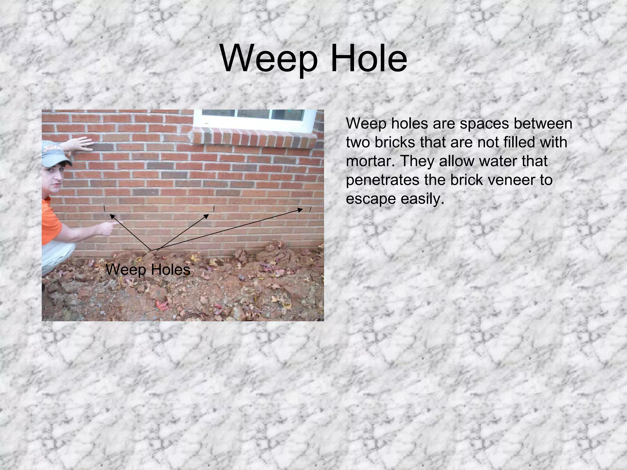 Weep Hole Weep Holes Weep holes are spaces between two bricks that are not filled with mortar. They allow water that penetrates the brick veneer to escape easily.  