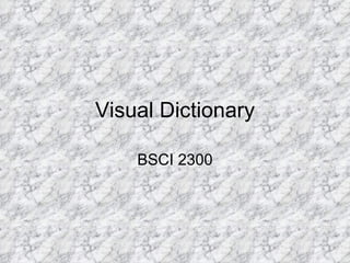 Visual Dictionary BSCI 2300 