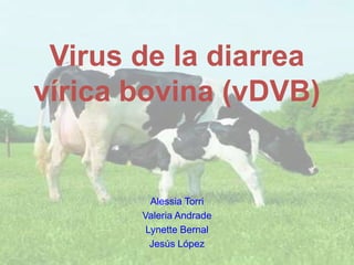 Virus de la diarrea
vírica bovina (vDVB)

Alessia Torri
Valeria Andrade
Lynette Bernal
Jesús López

 