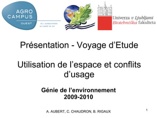 Présentation - Voyage d’Etude Utilisation de l’espace et conflits d’usage Génie de l’environnement 2009-2010 A. AUBERT, C. CHAUDRON, B. RIGAUX 
